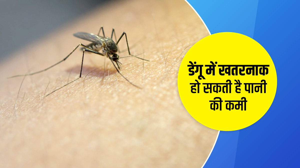 डेंगू बुखार के दौरान पानी की कमी (डिहाइड्रेशन) को क्यों माना जाता है खतरनाक? जानें डॉक्टर से
