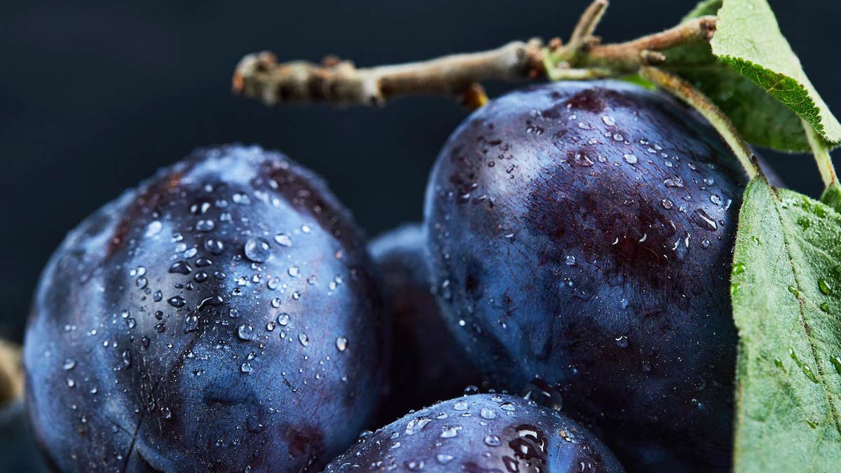 jamun-benefits-summer