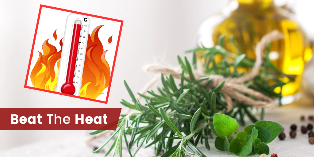 Cooling Ayurvedic Herbs For Summer Onlymyhealth