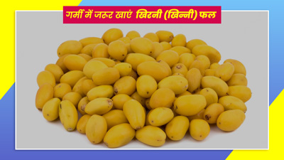 गर्मी में आने वाली खिरनी (खिन्नी) है सेहत के लिए बहुत फायदेमंद, जानें क्यों कहते हैं इसे राजाओं का फल