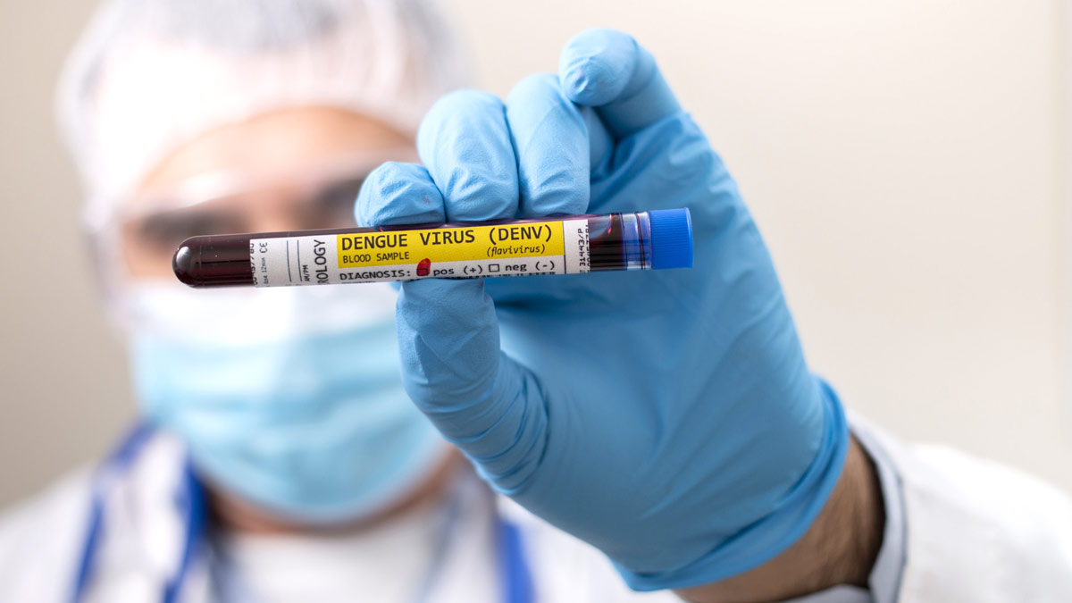 Typhoid-and-Dengue-Symptoms-Prevention