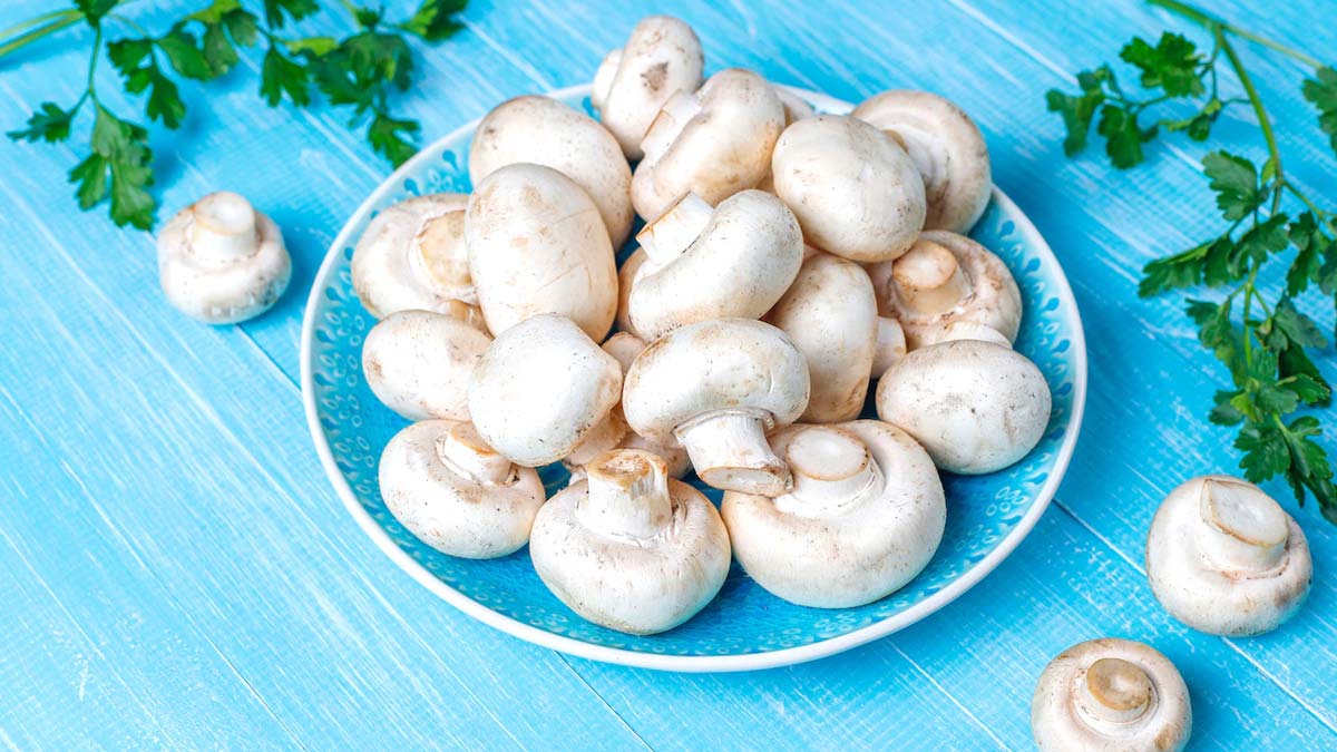 mushroom benefits for health