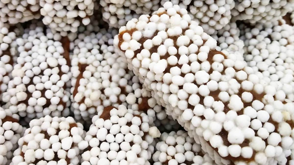 Almora-Bal-Mithai-Benefits-Recipe