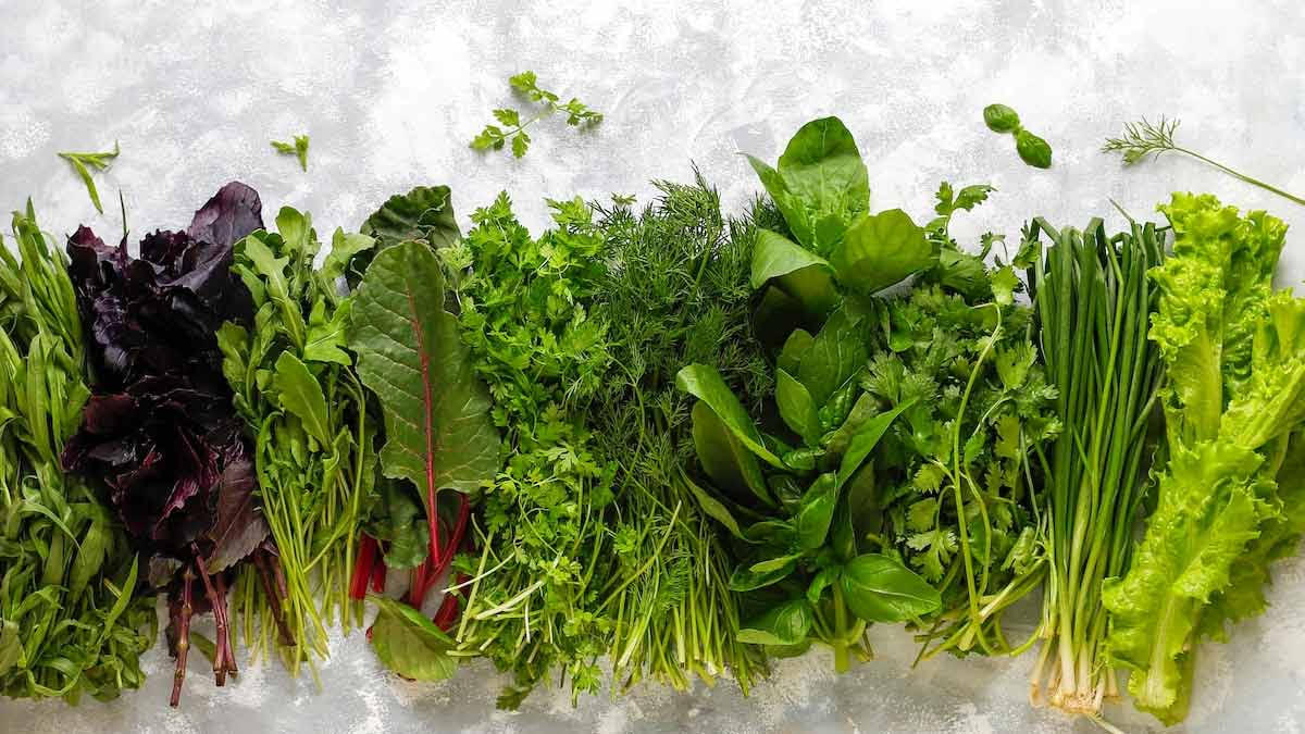 green leafy vegetables