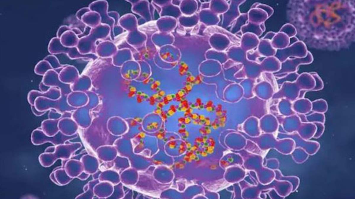 Monkeypox-Virus-Outbreak