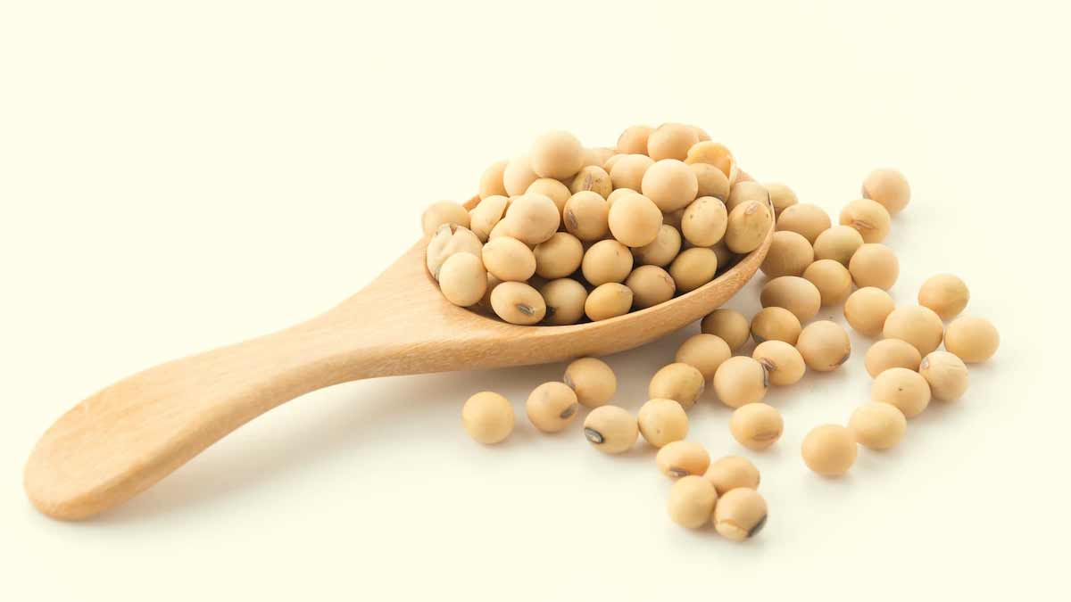 Vegetarian-Source-of-Omega-3