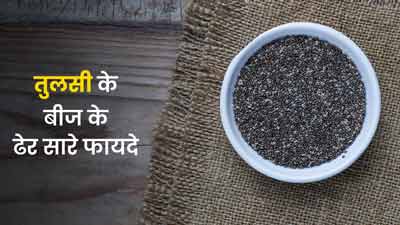 तुलसी के बीज (सब्जा सीड्स) होते हैं पोषक तत्वों का पावर हाउस, जानें इसे खाने के 6 फायदे और कुछ नुकसान