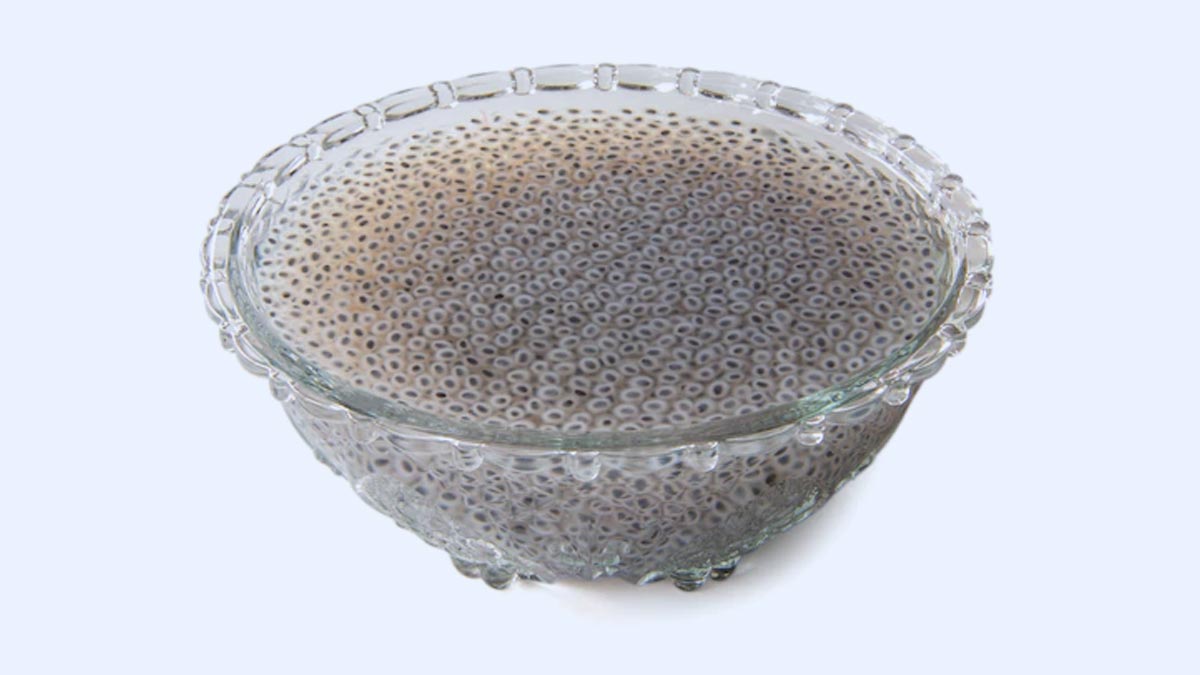 sabja seeds or basil seeds benefits