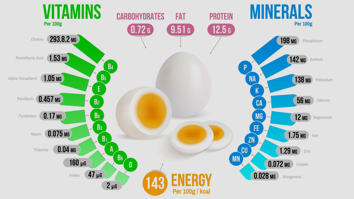 Benefits Of Adding Eggs To Your Breakfast OnlyMyHealth