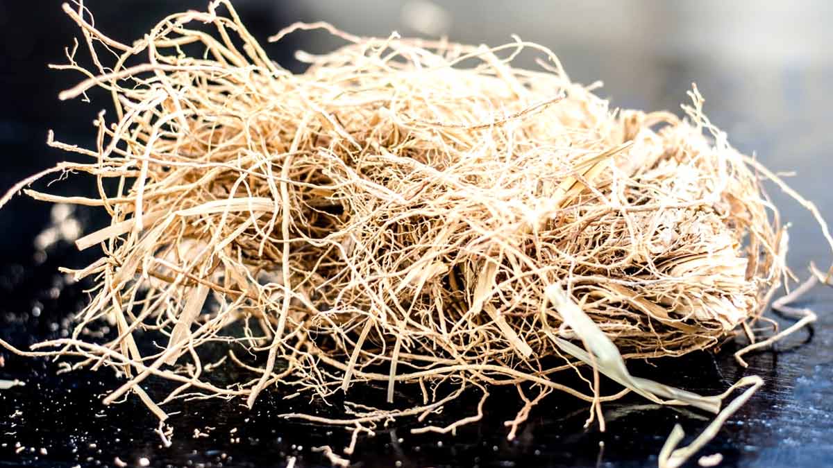 khus water benefits 