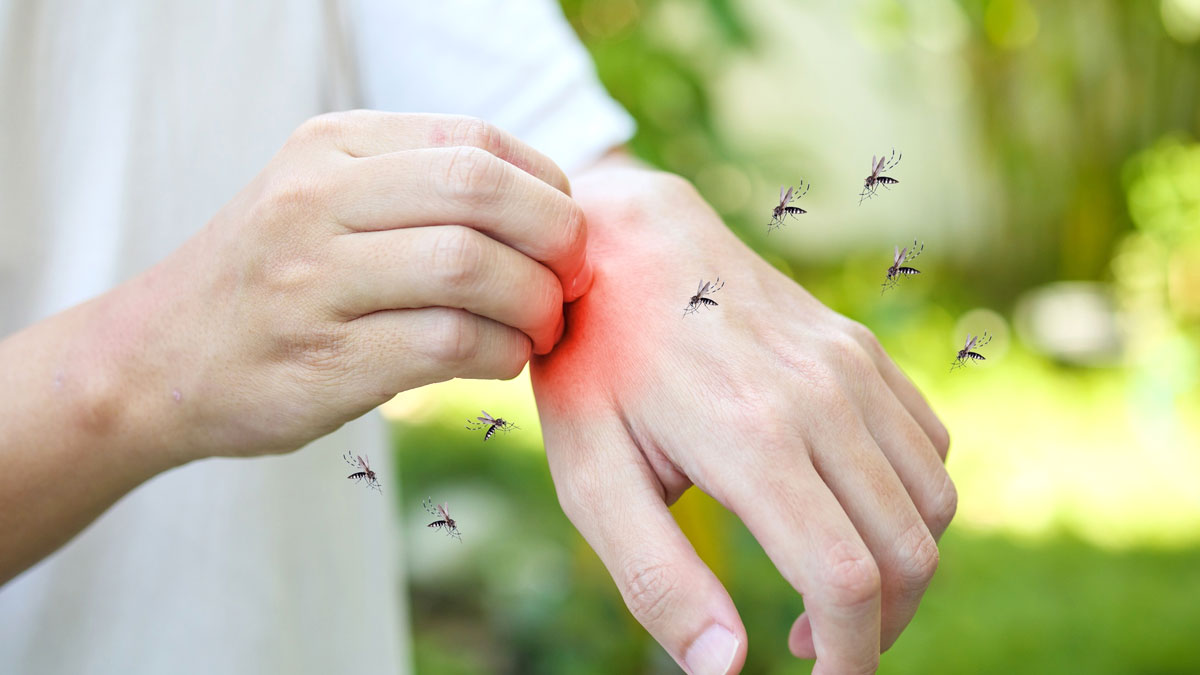 West Nile Fever in Hindi