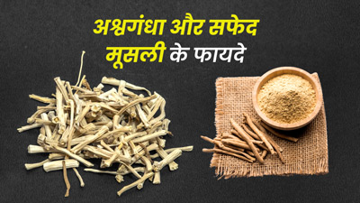 सफेद मूसली और अश्वगंधा का एक साथ करें सेवन, इन समस्याओं से पा सकते हैं छुटकारा