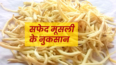 इन लोगों को नहीं करना चाहिए सफेद मूसली का सेवन, जानें सावधानियां