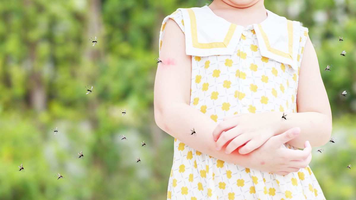 बच्चों में डेंगू के इन 6 गंभीर लक्षणों को न करें नजरअंदाज, तुरंत लें डॉक्टर की सलाह