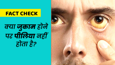 Fact Check: क्या जुकाम होने पर पीलिया नहीं होता है? डॉक्टर से जानें इस दावे की सच्चाई