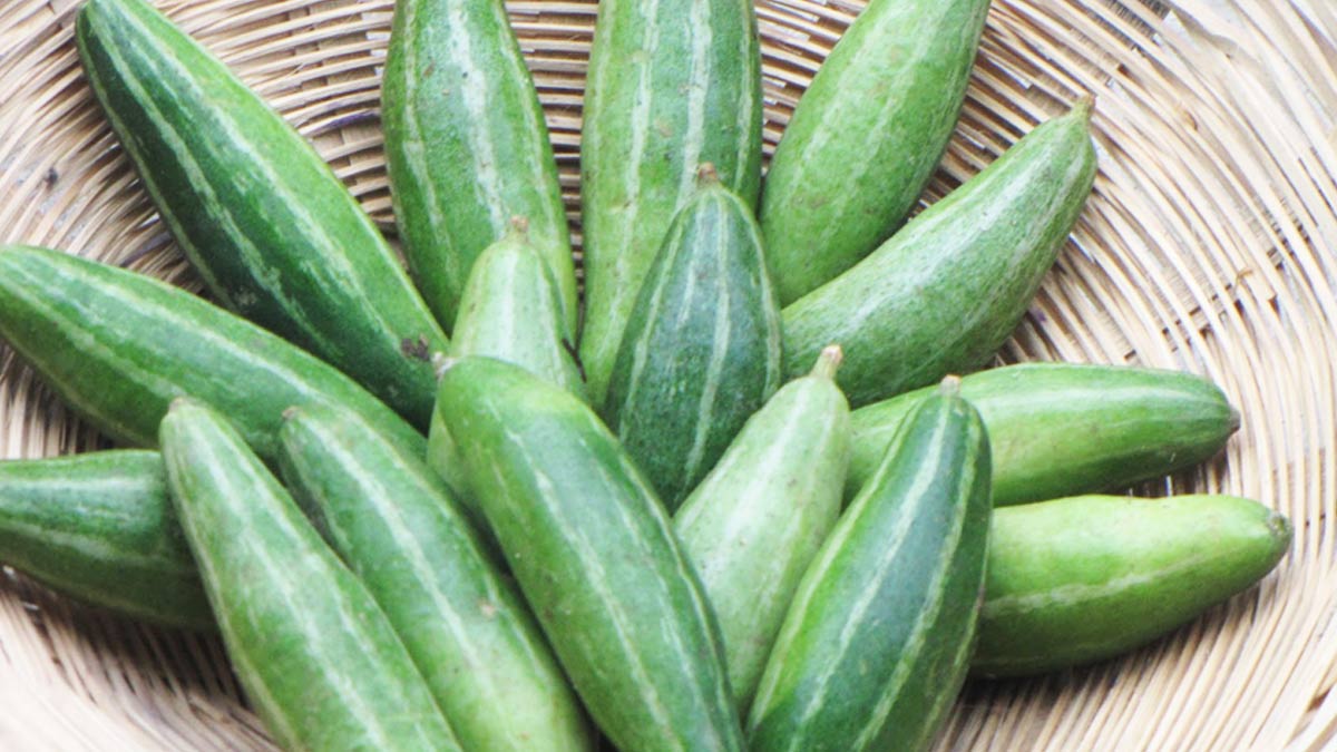 parwal benefits