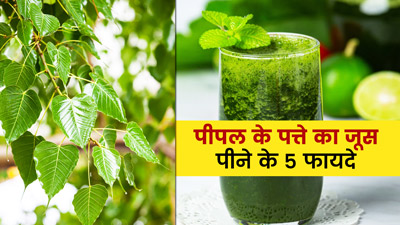 सुबह पीपल के पत्तों का जूस पीने से सेहत को मिलेंगे 5 जरदस्त फायदे