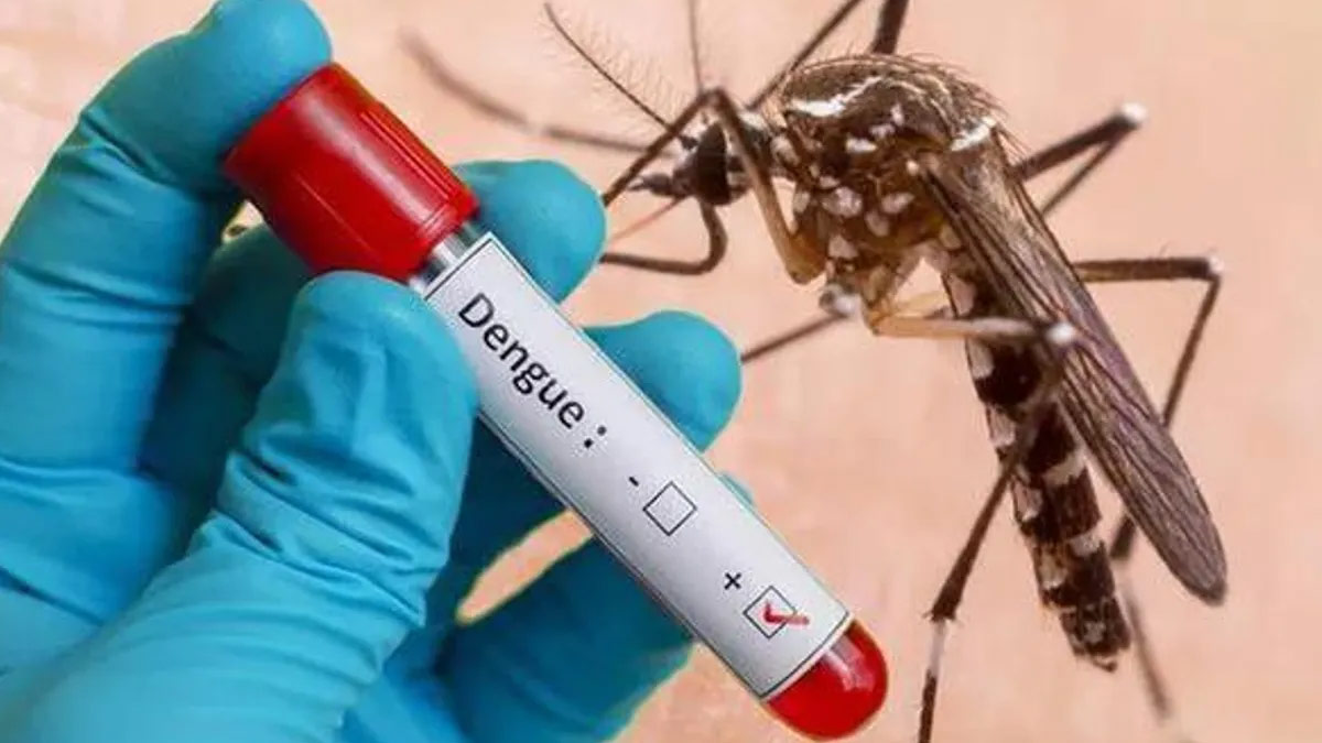 डेंगू में करें इन 5 देसी जूस का सेवन, कम होगा बुखार मिलेगा फायदा