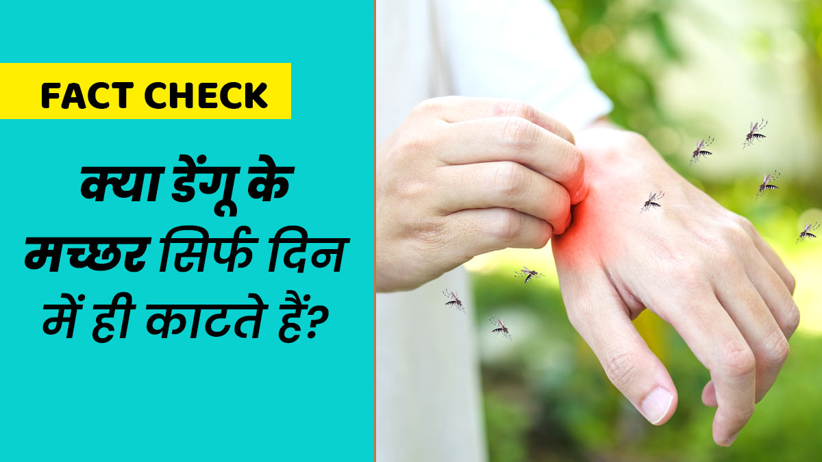 Fact Check: क्या डेंगू के मच्छर सिर्फ दिन में ही काटते हैं? डॉक्टर से जानें इस दावे की सच्चाई