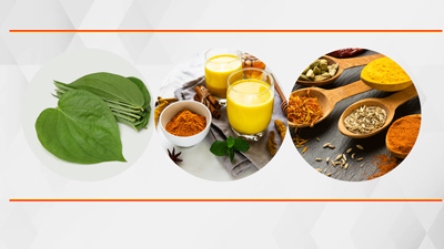 दादी-नानी के जमाने में इम्‍यून‍िटी बढ़ाने के ल‍िए खाई जाती थीं ये 5 चीजें, एक्‍सपर्ट से जानें फायदे