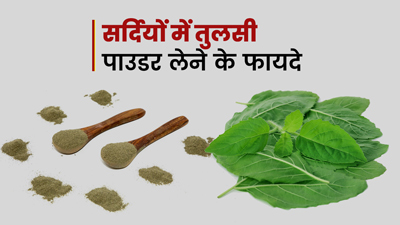 सर्दियों में गर्म पानी के साथ लें तुलसी पाउडर, बढ़ेगी इम्यूनिटी और मिलेंगे कई फायदे