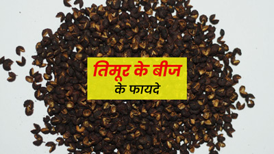 तिमूर के बीज दूर कर सकते हैं मुंह की बदबू और कब्ज जैसी ये 5 समस्याएं