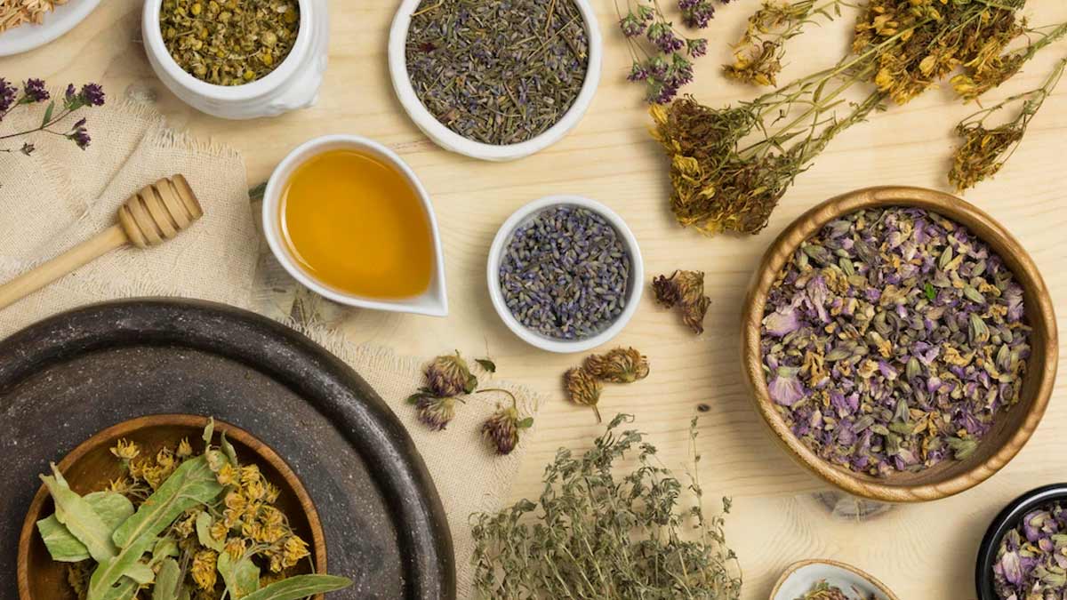 ayurvedic herbs to purify blood in hindi