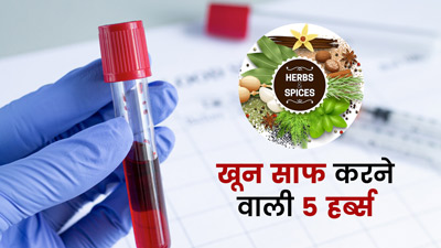 खून साफ करने में मदद करती हैं ये 5 जड़ी-बूटियां, जानें प्रयोग का तरीका