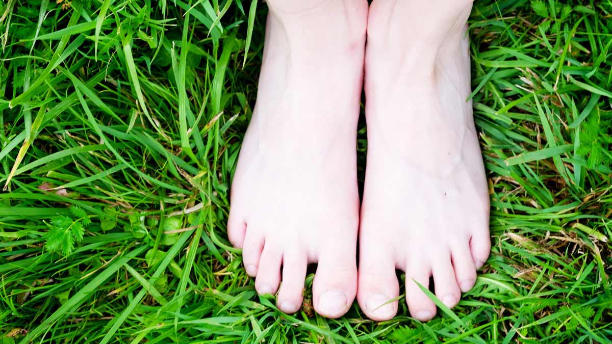 grass