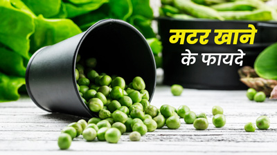 सर्दियों में जरूर खाएं हरी मटर, सेहत को मिलेंगे ये 5 फायदे