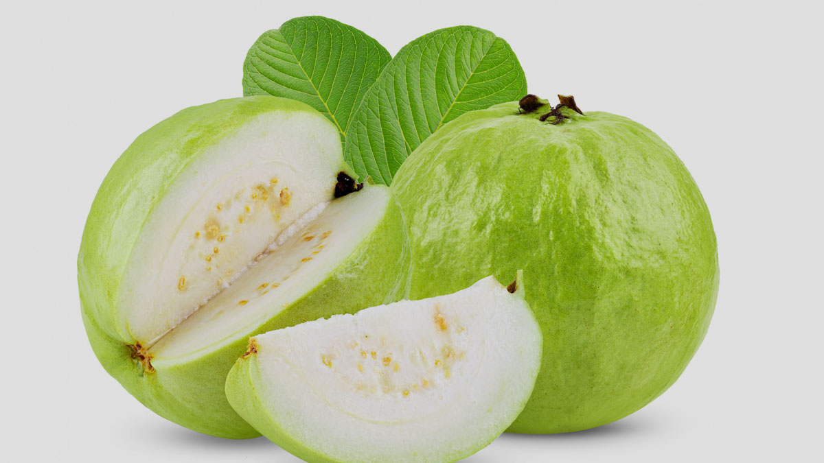 Eat guava for weight loss in winter, health will also get many benefits.