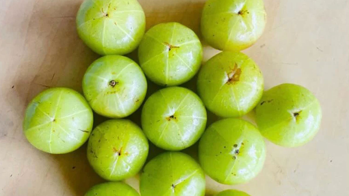 amla for daibetes patients in winter