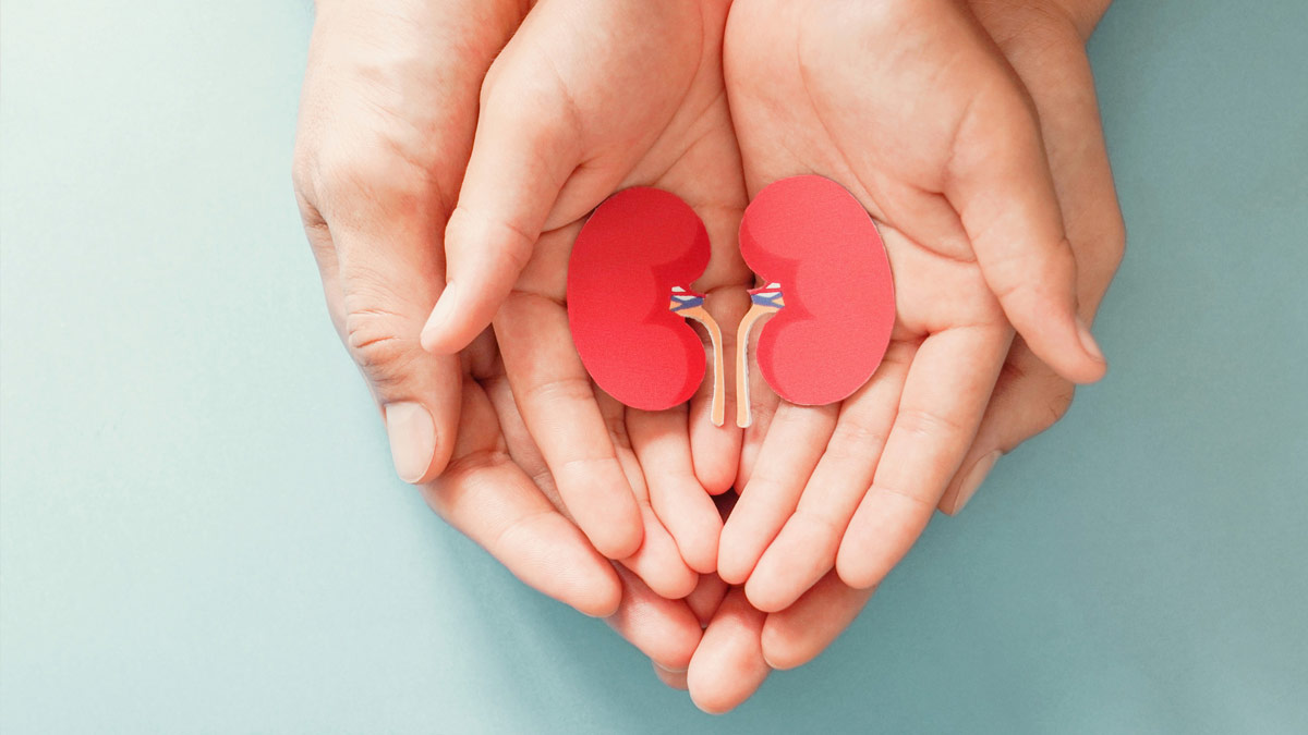 Kidney Donation Procedure in Hindi