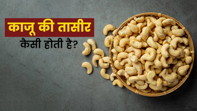 काजू की तासीर ठंडी होती है या गर्म? जानें एक दिन में कितने काजू खाने चाहिए