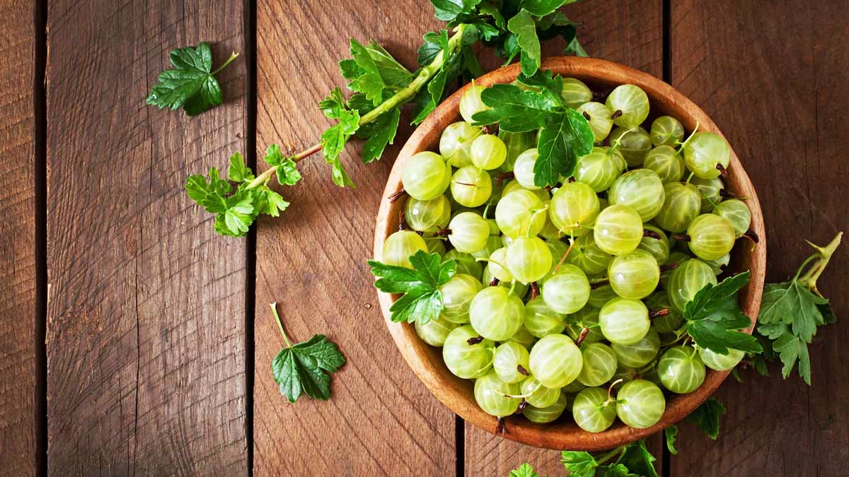 Premature-Ejaculation