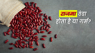 राजमा गर्म होता है या ठंडा? जानें कब और किसे नहीं करना चाहिए इसका सेवन