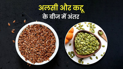 अलसी के बीज या कद्दू के बीज, कौन है ज्यादा हेल्दी? जानें दोनों के पोषक तत्व