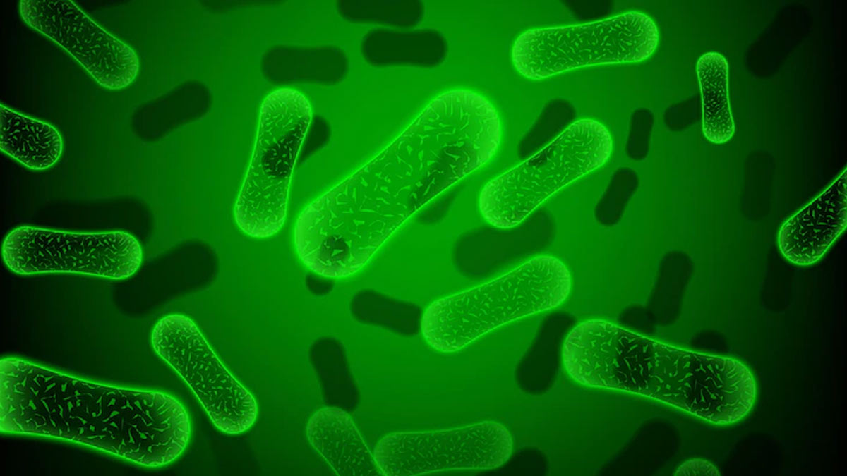 5 Bacteria Types Killed Nearly 6.8 Lakh Indians In 2019: Lancet Study