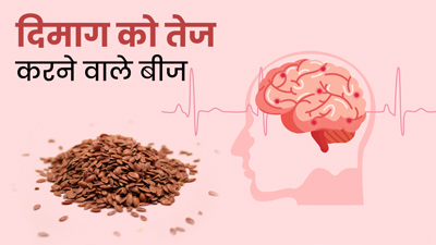 दिमाग को करना चाहते हैं तेज? आहार में शामिल करें ये 5 बीज