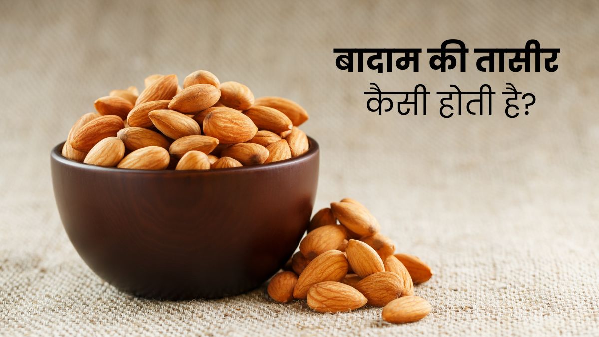 बादाम की तासीर कैसी होती है? जानिए एक दिन में कितने बादाम खा सकते हैं