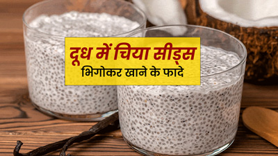 रातभर दूध में भिगोकर रखें चिया सीड्स, सुबह खाली पेट खाने से मिलेंगे ये 5 फायदे