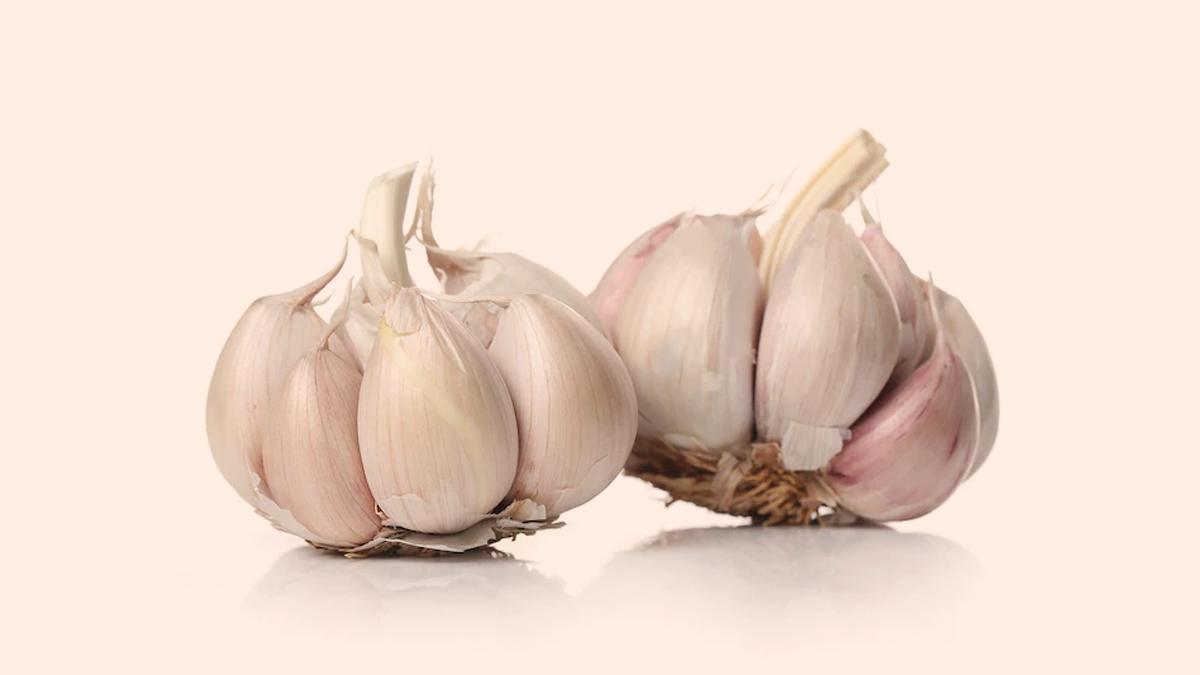 garlic