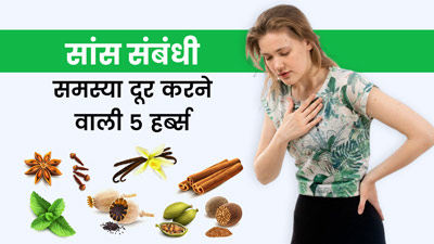 सांस लेने में महसूस होती है परेशानी? ये 5 आयुर्वेदिक हर्ब्स दूर करेंगी आपकी समस्या