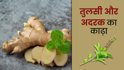 सर्दियों में पिएं तुलसी और अदरक का काढ़ा, पूरे सीजन दूर रहेंगी ये 5 समस्याएं