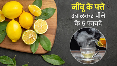 नींबू के पत्ते उबालकर पीने से सेहत को मिलेंगे 5 जबरदस्त फायदे
