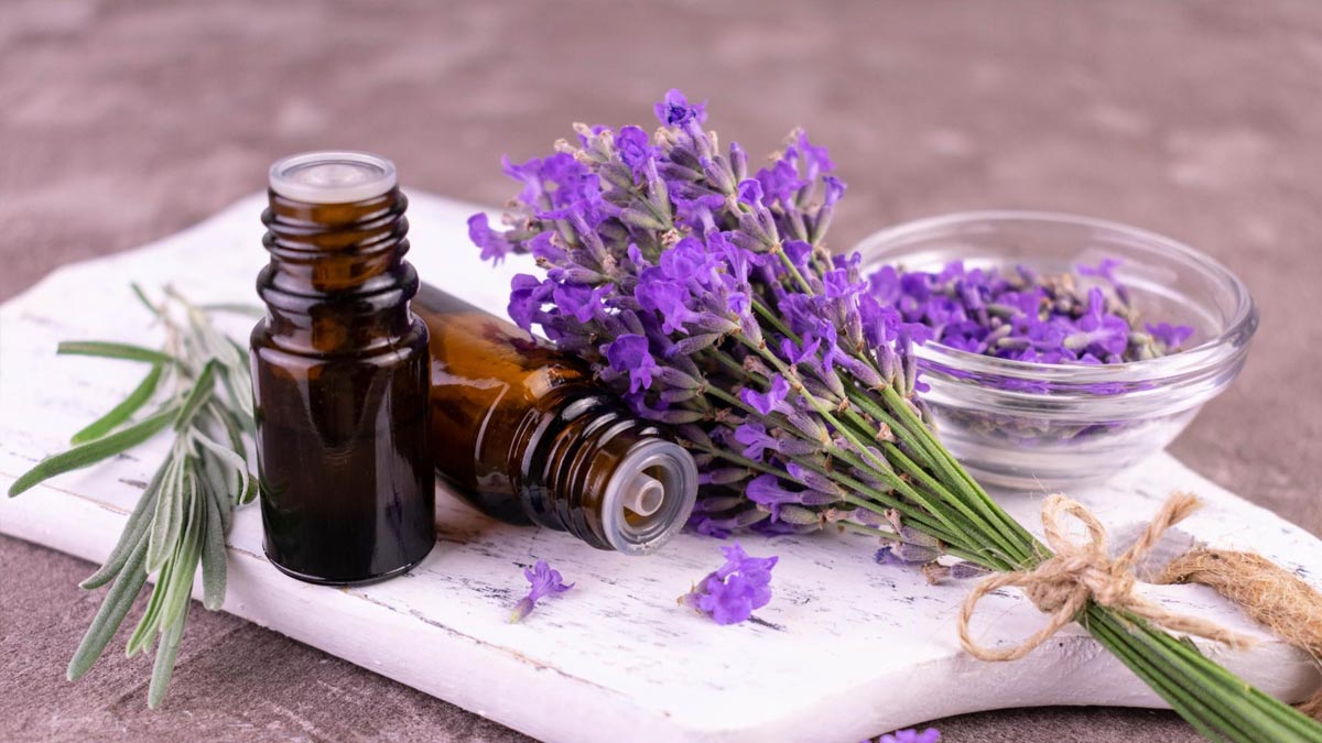 lavender oil benefits 