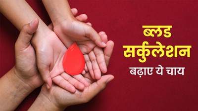 सर्दियों में ब्लड सर्कुलेशन को करना है बेहतर? रोज पिएं ये 5 चाय