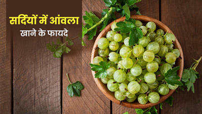 सर्दियों में रोज खाएं 2 आंवले, दूर रहेंगी कई बीमारियां और बाल रहेंगे स्वस्थ