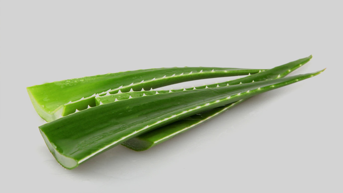 Aloevera