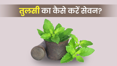 सर्दियों में इन 5 तरीकों से करें तुलसी की पत्तियों का सेवन, दूर रहेंगी कई समस्याएं